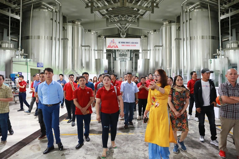 avia khoác áo mới